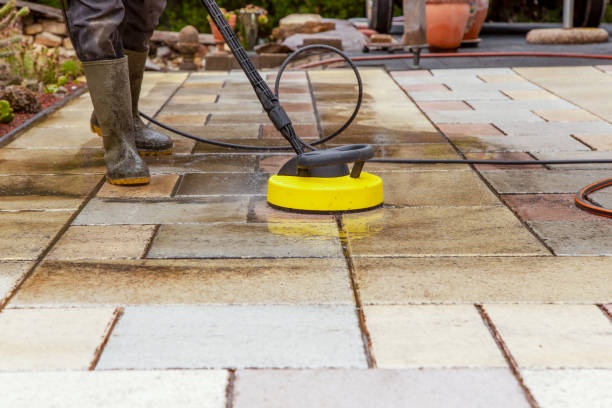 Best Roof Washing  in Peotone, IL